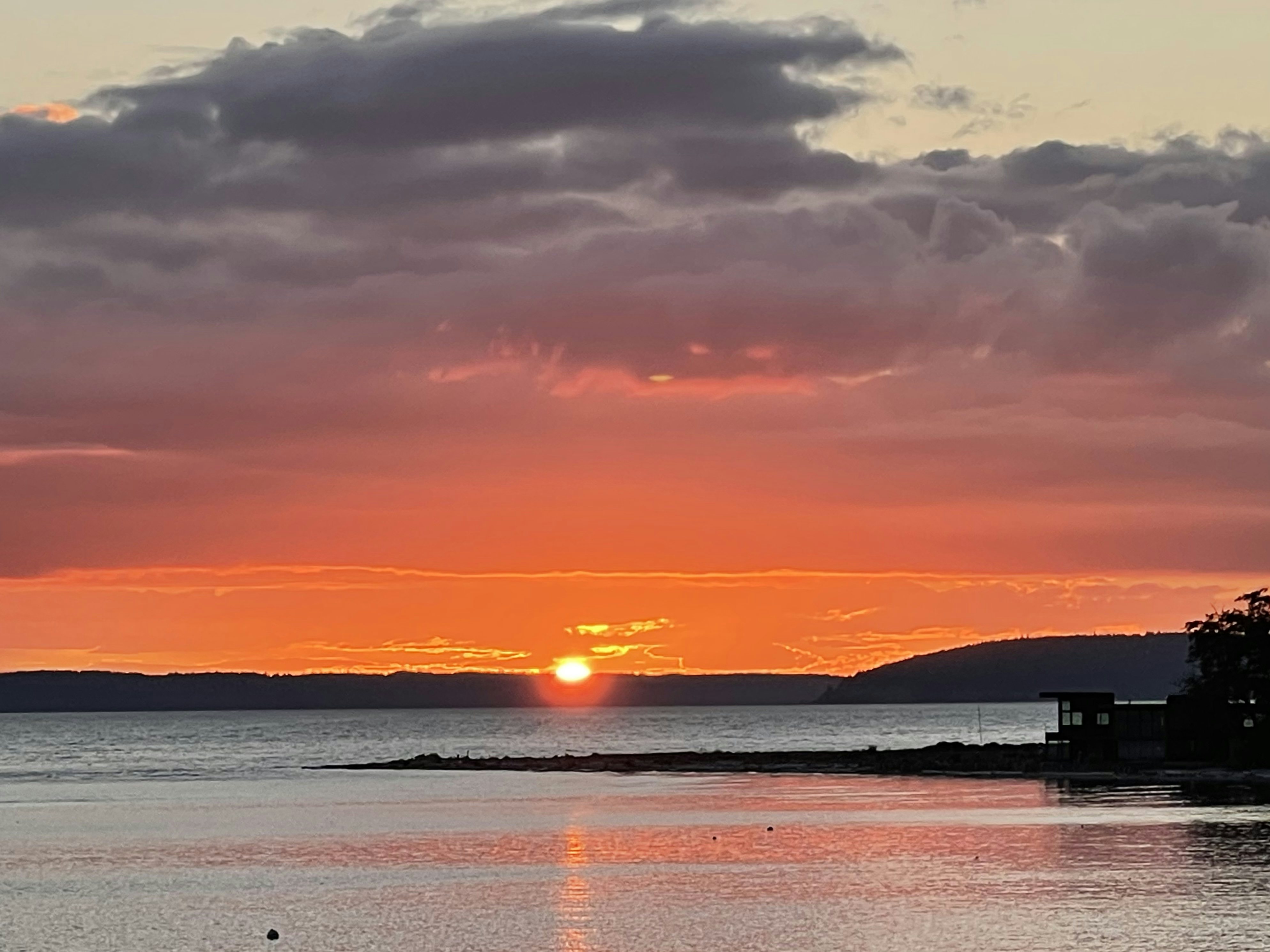 Click to View Larger