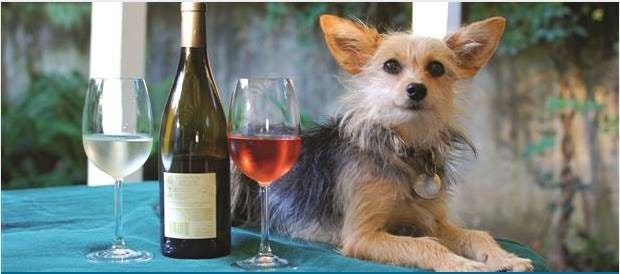 Click to View Larger