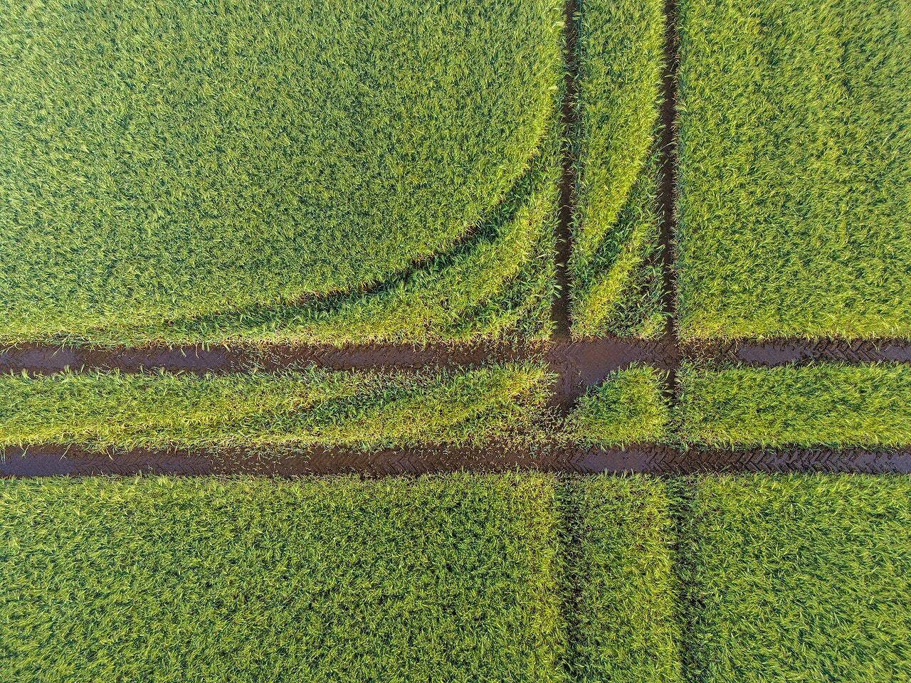 Click to View Larger