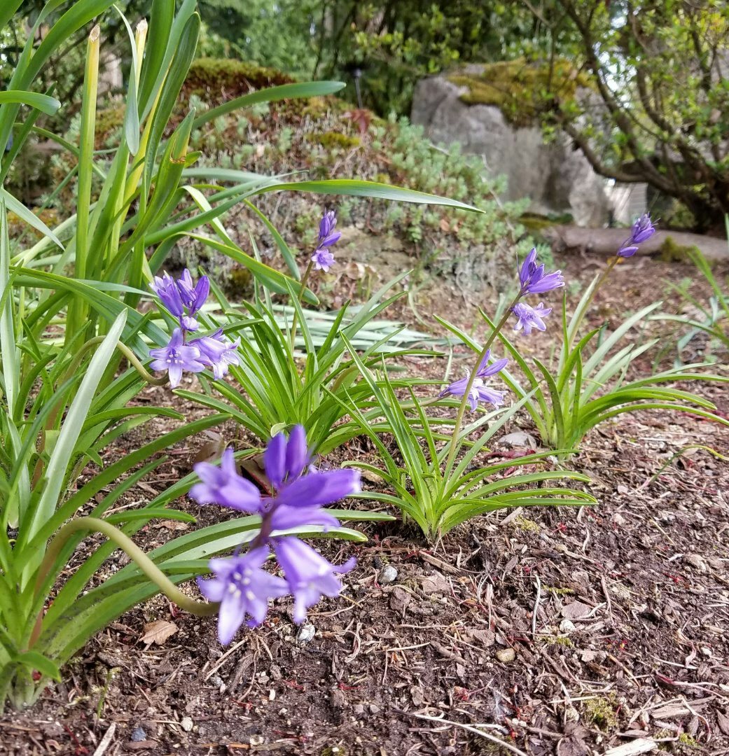 Click to View Larger