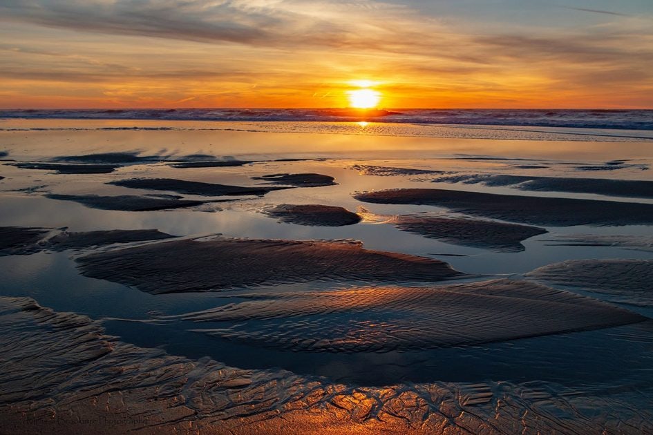 Click to View Larger