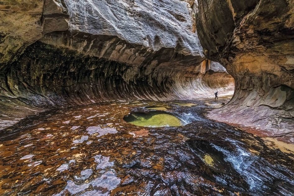 Click to View Larger