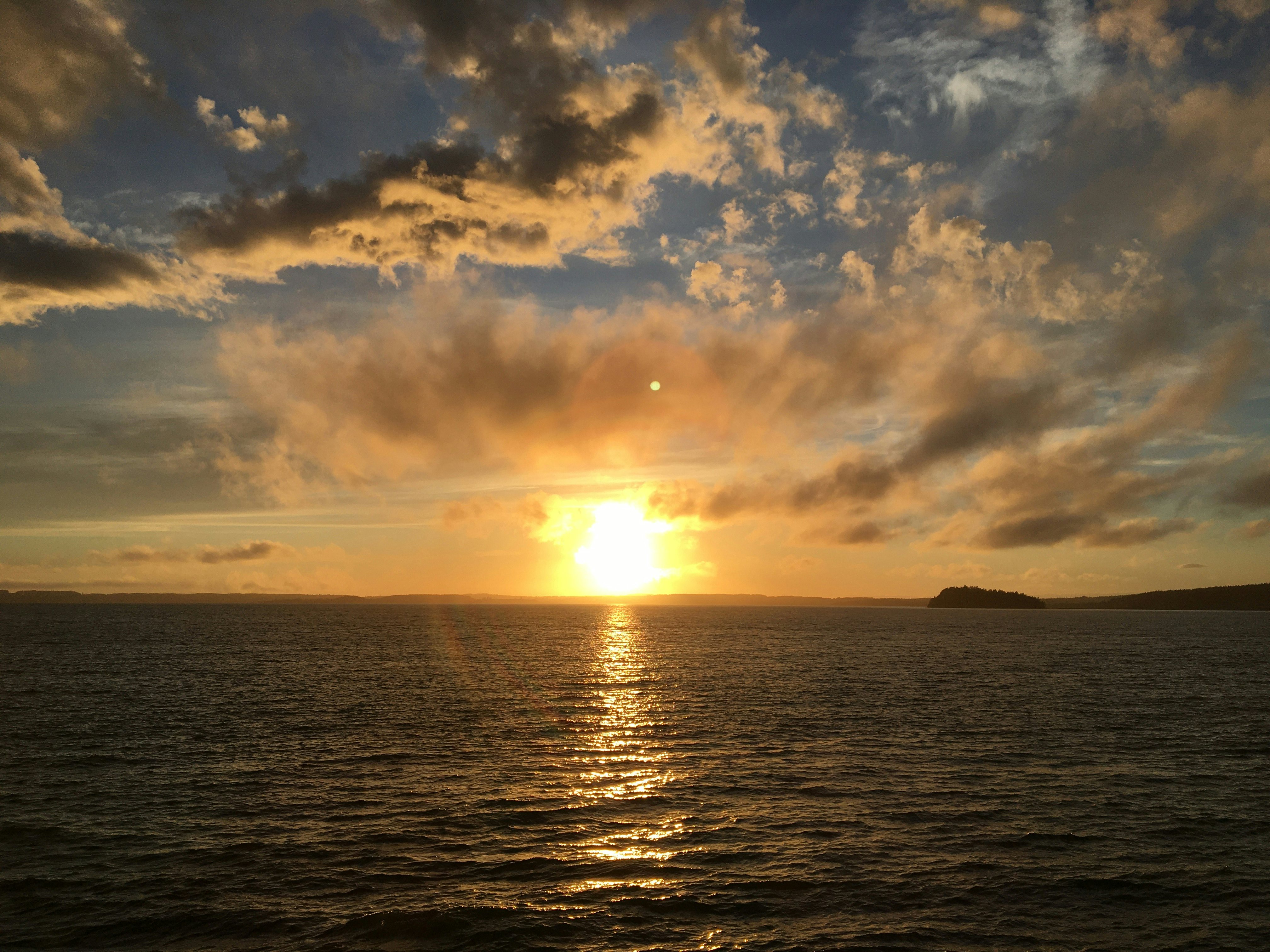 Click to View Larger