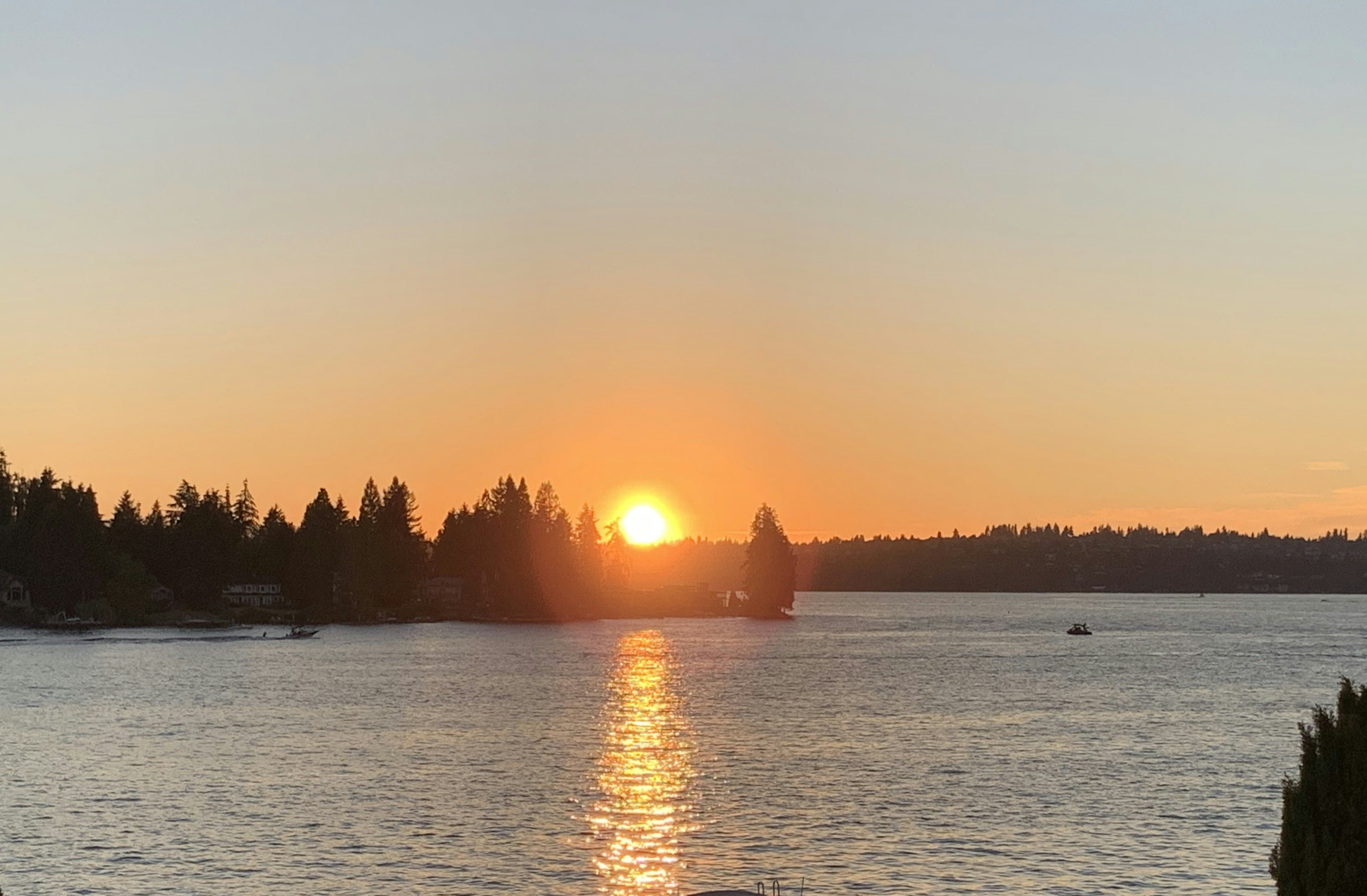 Click to View Larger