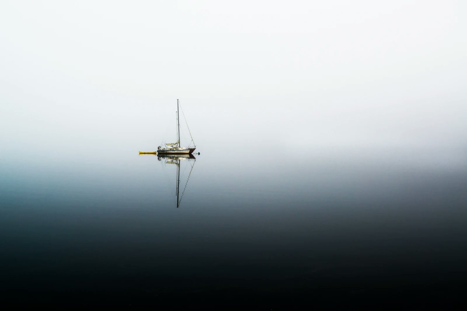 Click to View Larger