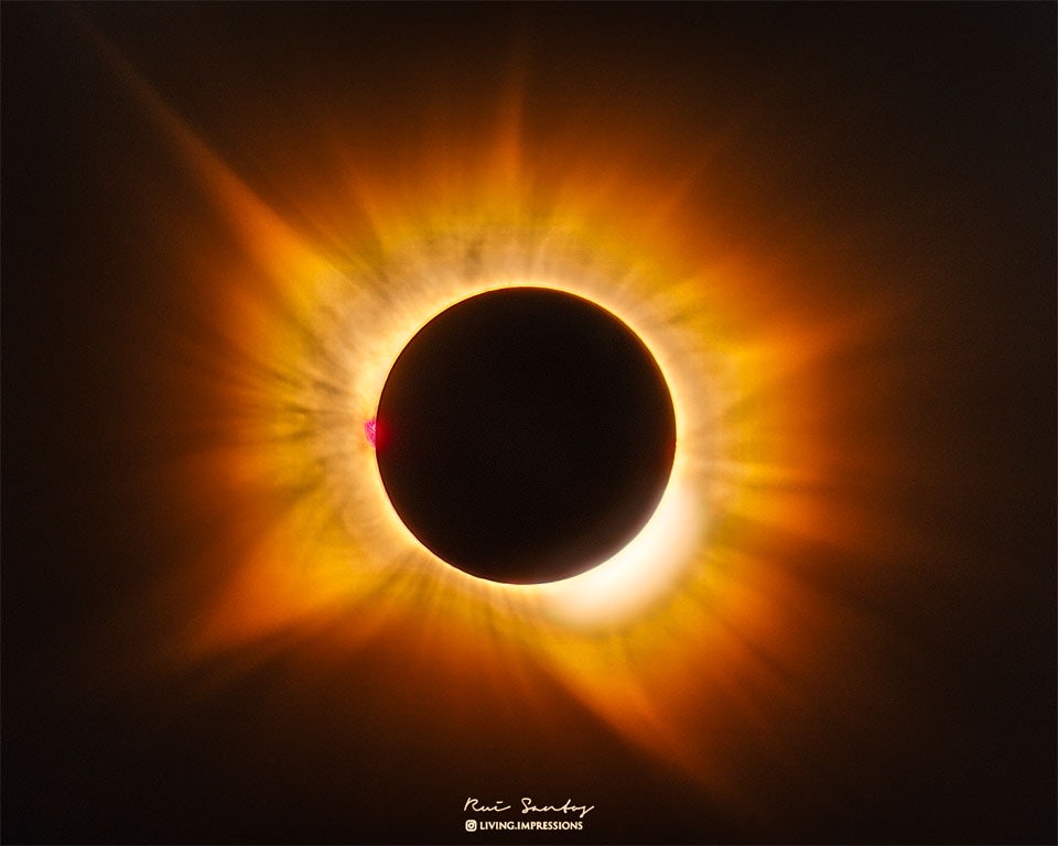 Click to View Larger