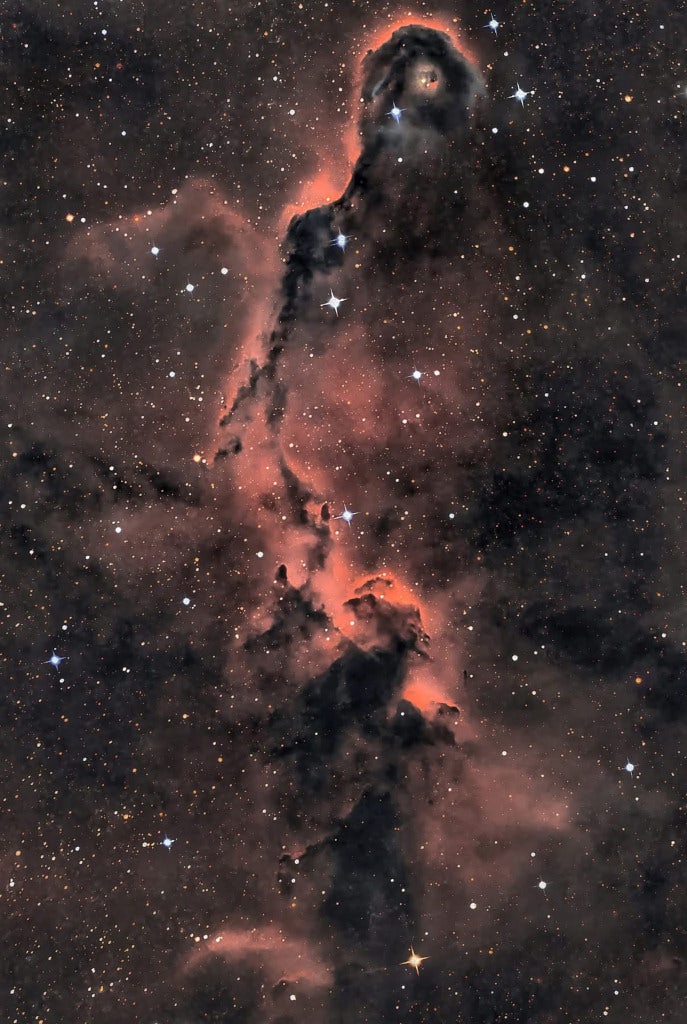 Click to View Larger