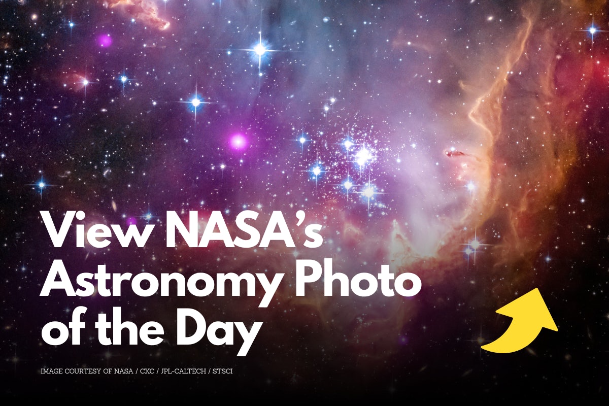 Click to View Larger